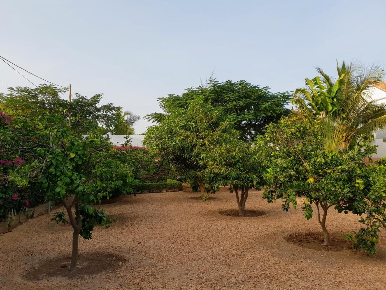 La Maison Blanche A Ngaparou, Splendide Villa Contemporaine Luaran gambar